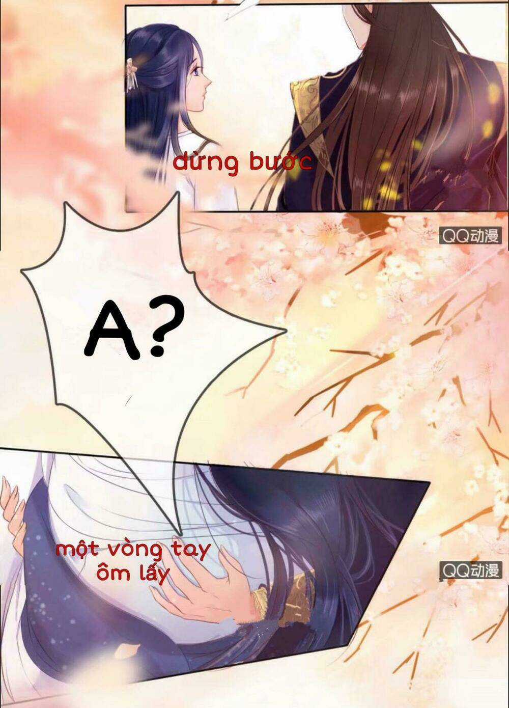 Sủng Phi Của Vương - Chapter 21 - Trang 4