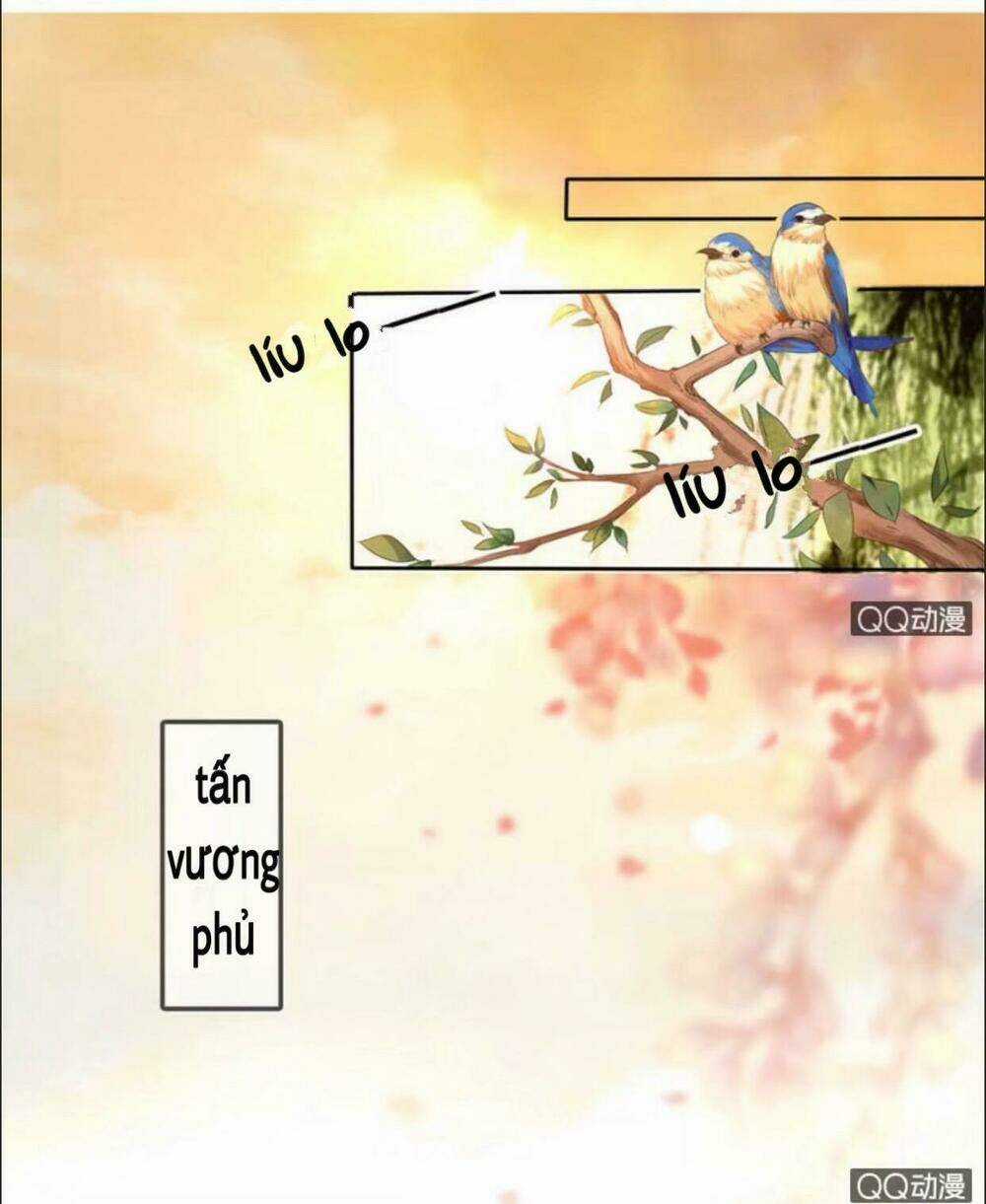 Sủng Phi Của Vương - Chapter 22 - Trang 2