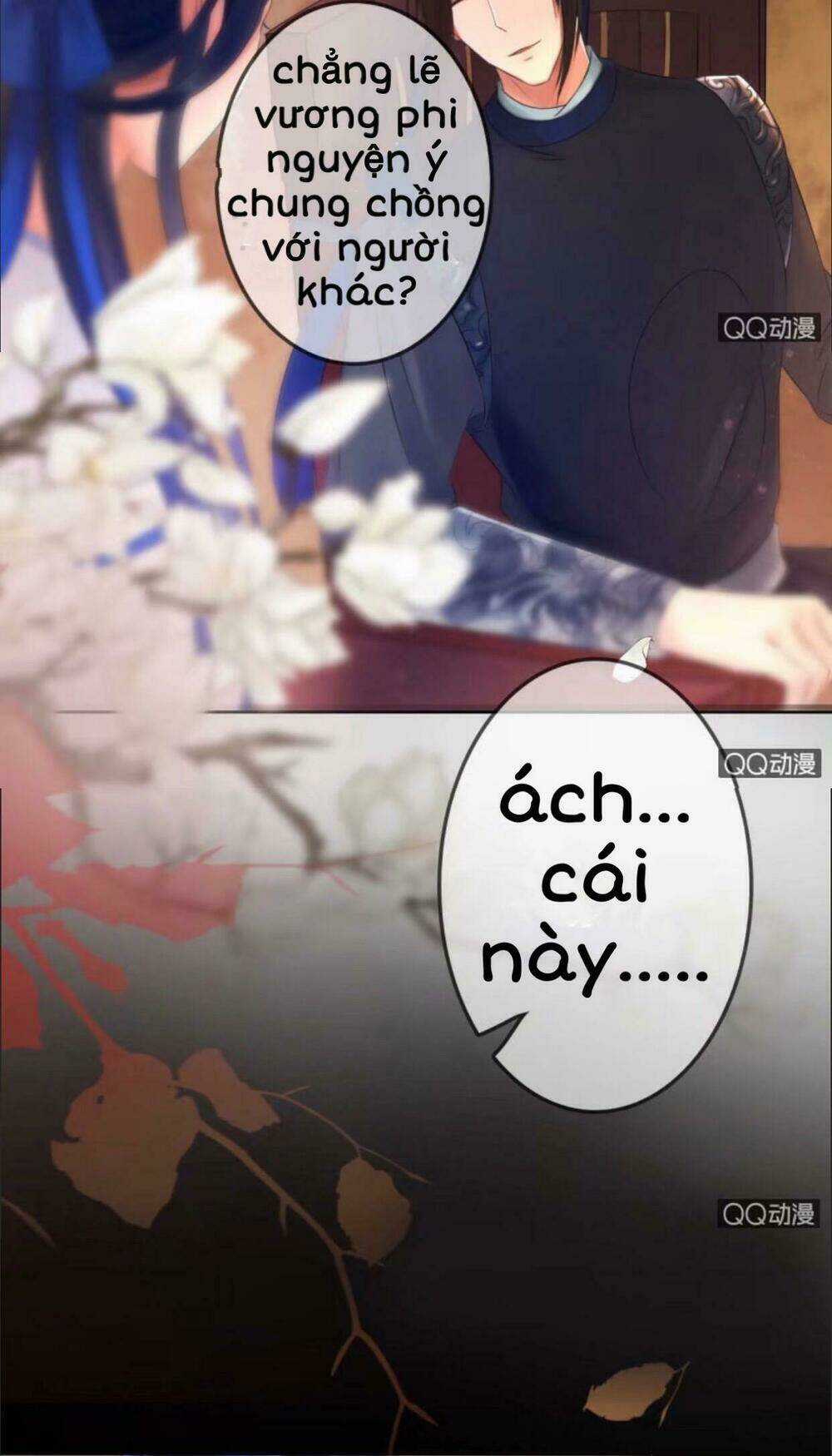 Sủng Phi Của Vương - Chapter 23 - Trang 12