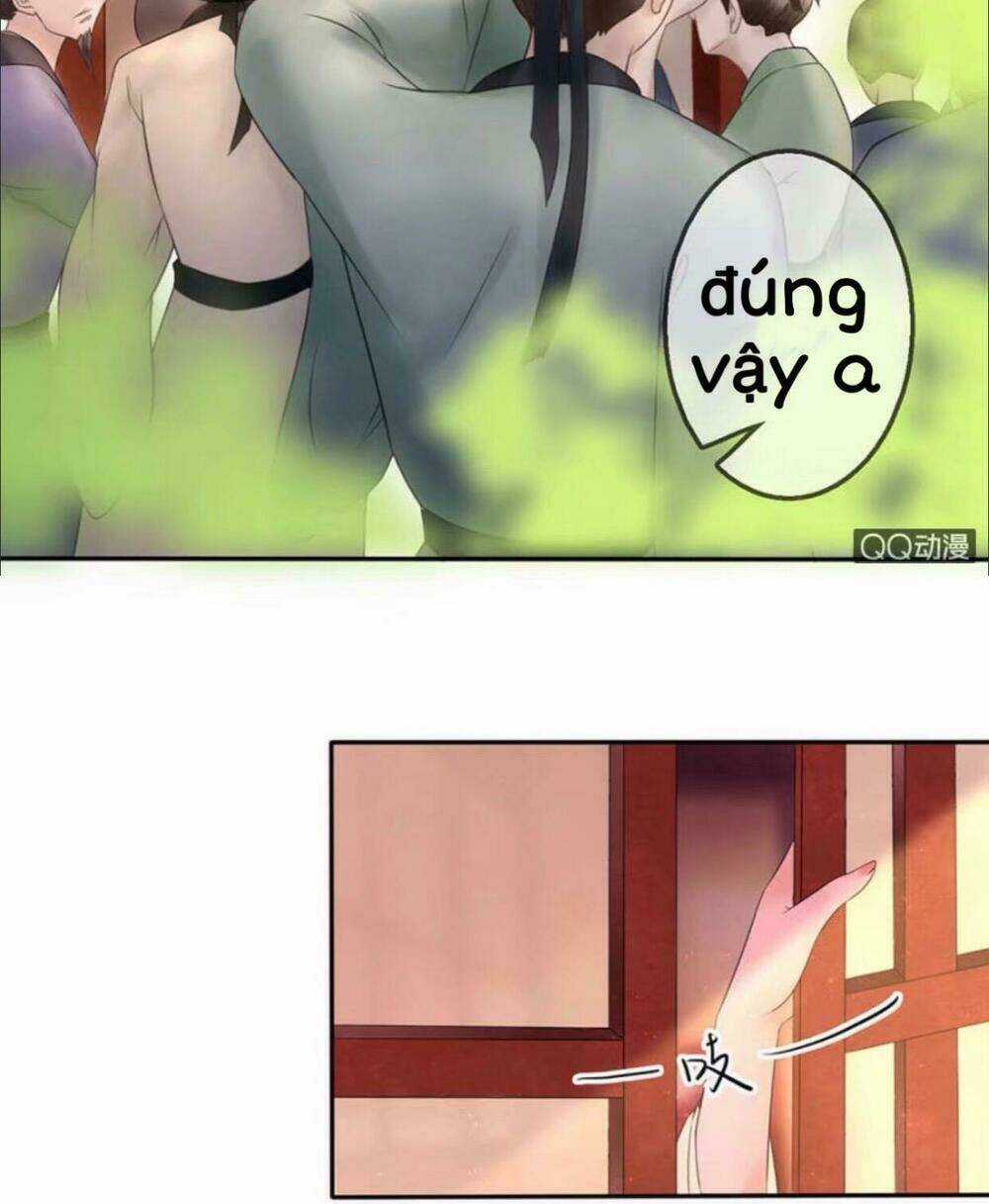 Sủng Phi Của Vương - Chapter 24 - Trang 10