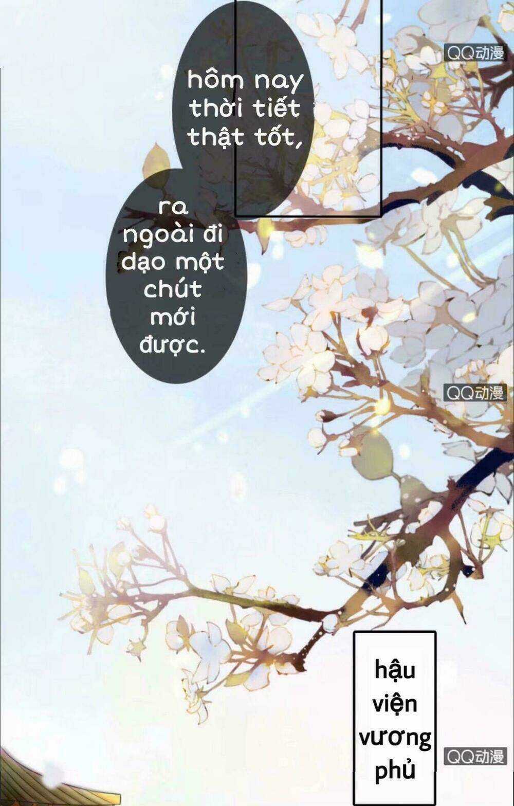 Sủng Phi Của Vương - Chapter 25 - Trang 5