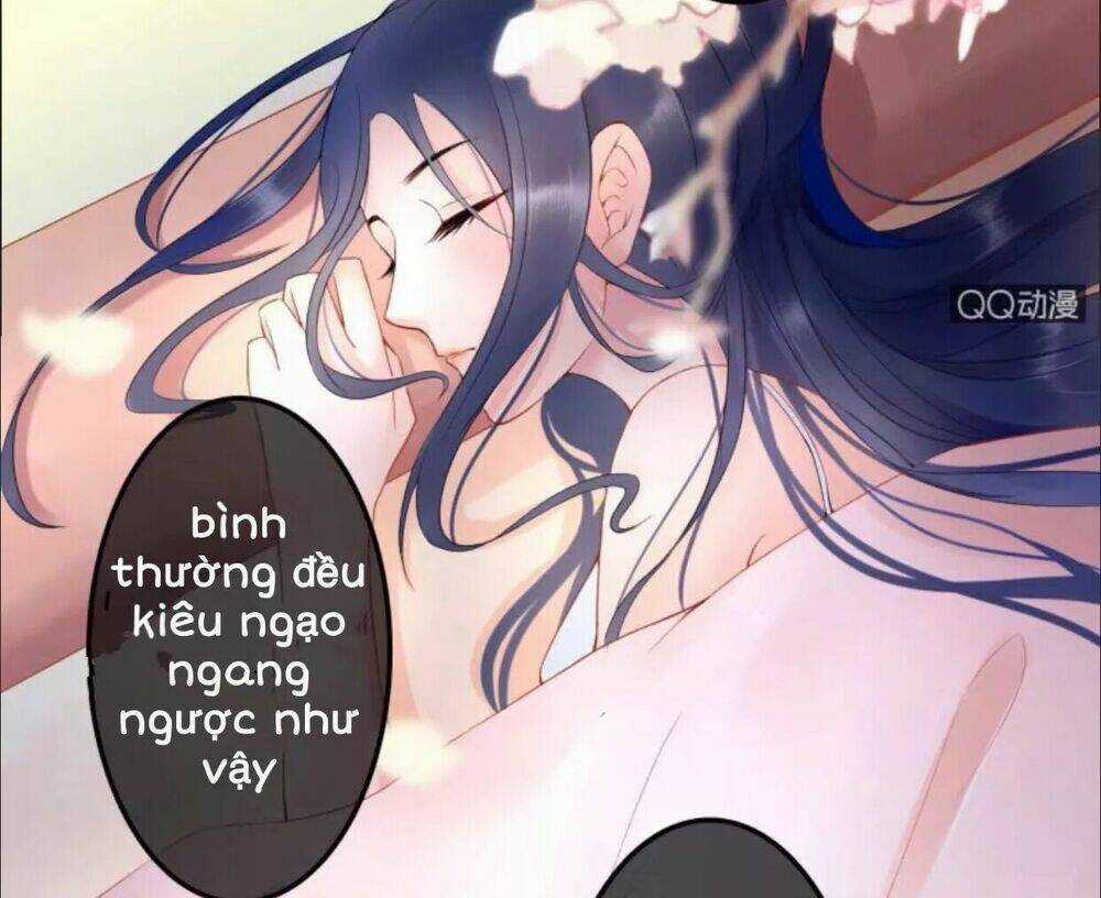 Sủng Phi Của Vương - Chapter 28 - Trang 17