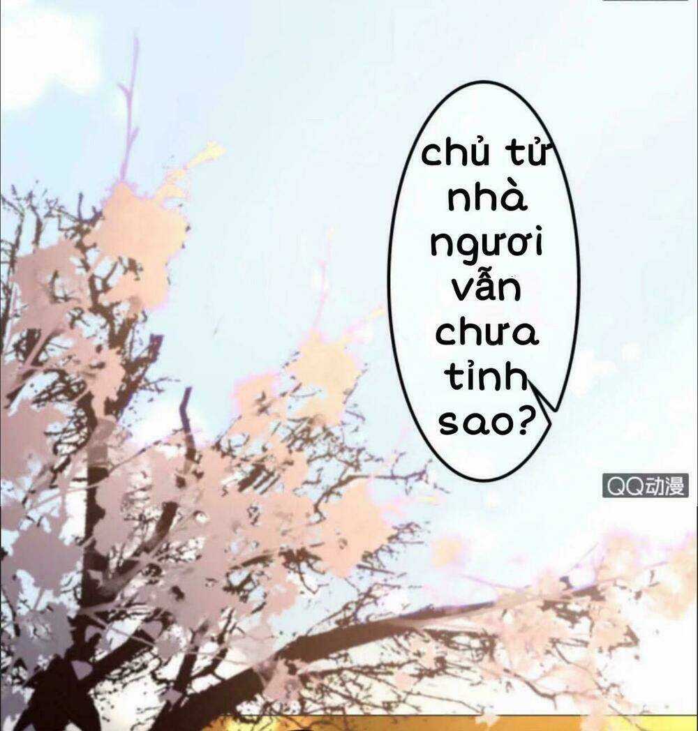 Sủng Phi Của Vương - Chapter 29 - Trang 14