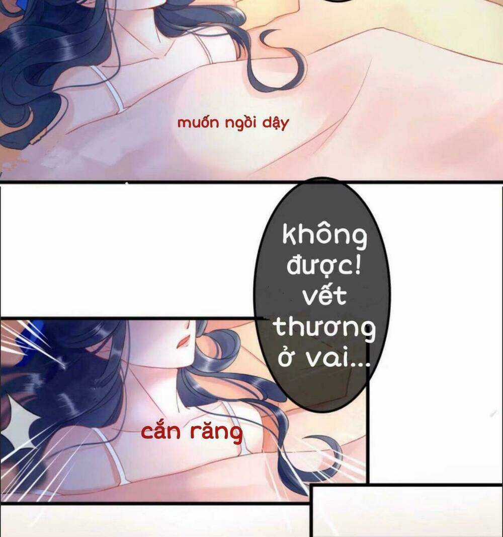 Sủng Phi Của Vương - Chapter 29 - Trang 4