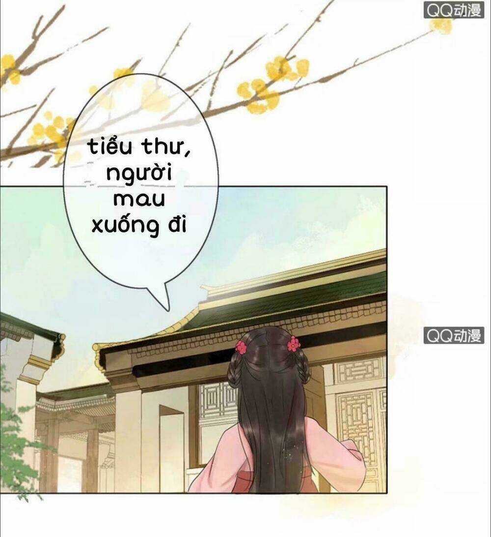 Sủng Phi Của Vương - Chapter 3 - Trang 6