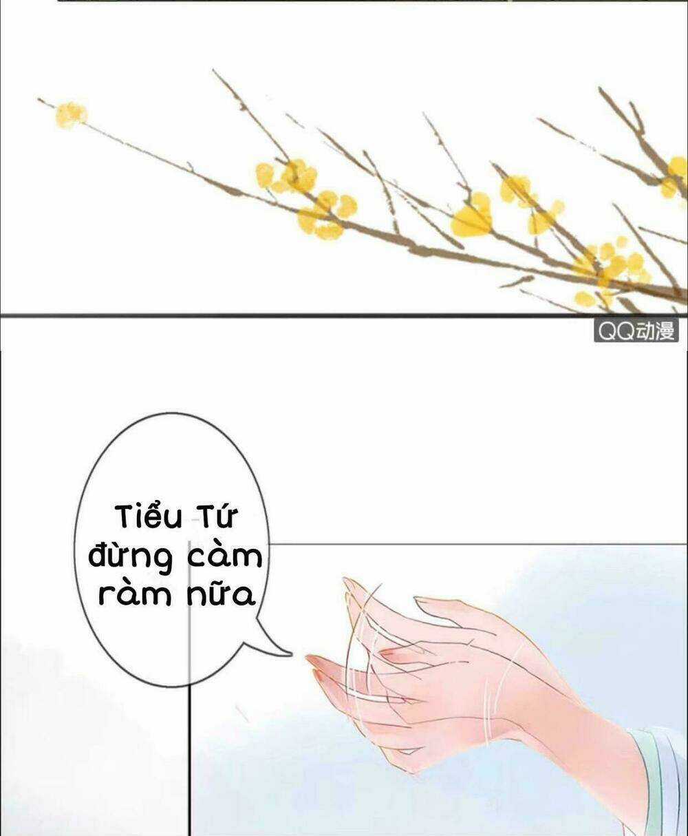 Sủng Phi Của Vương - Chapter 3 - Trang 8