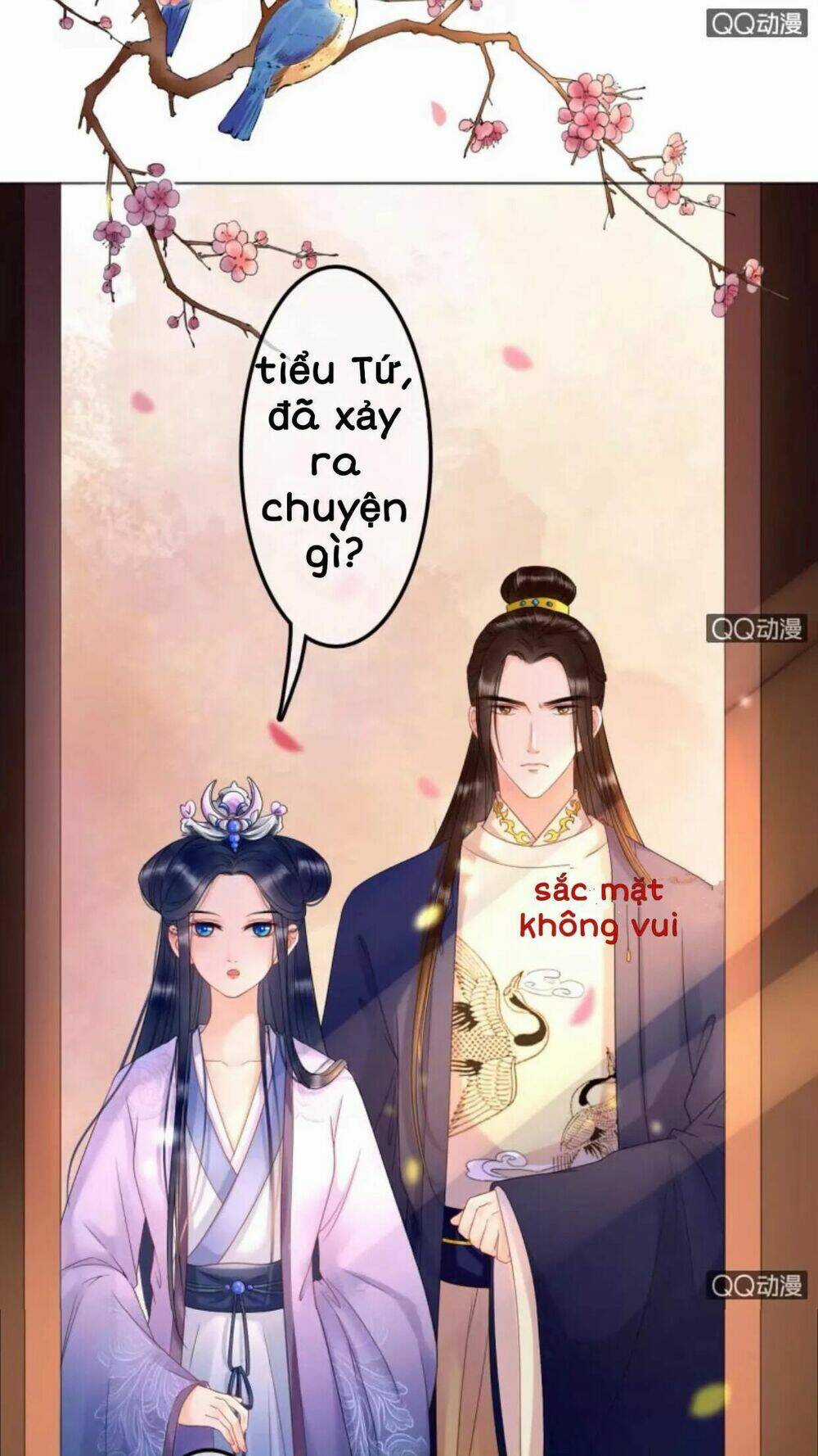 Sủng Phi Của Vương - Chapter 31 - Trang 2