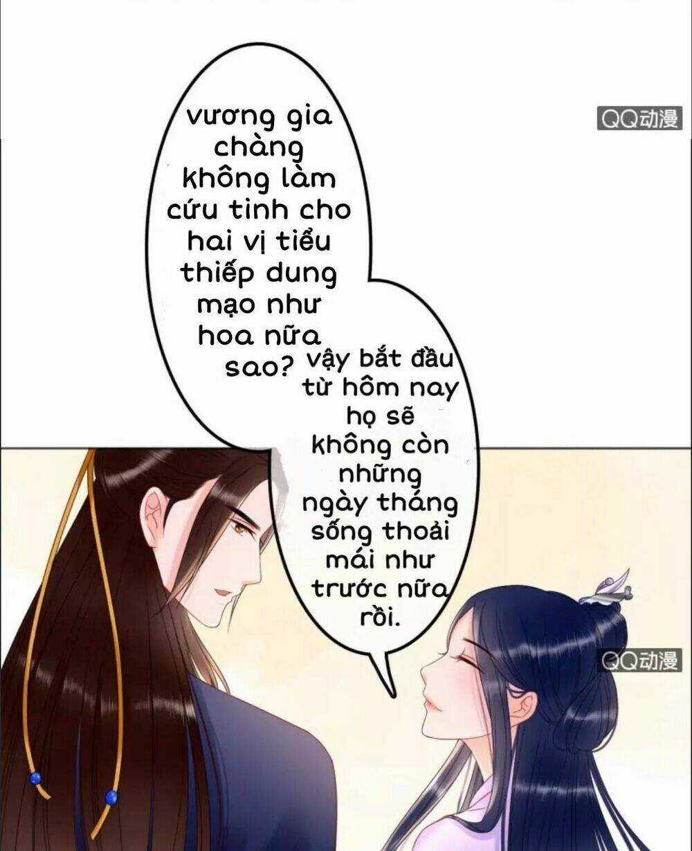 Sủng Phi Của Vương - Chapter 31 - Trang 11
