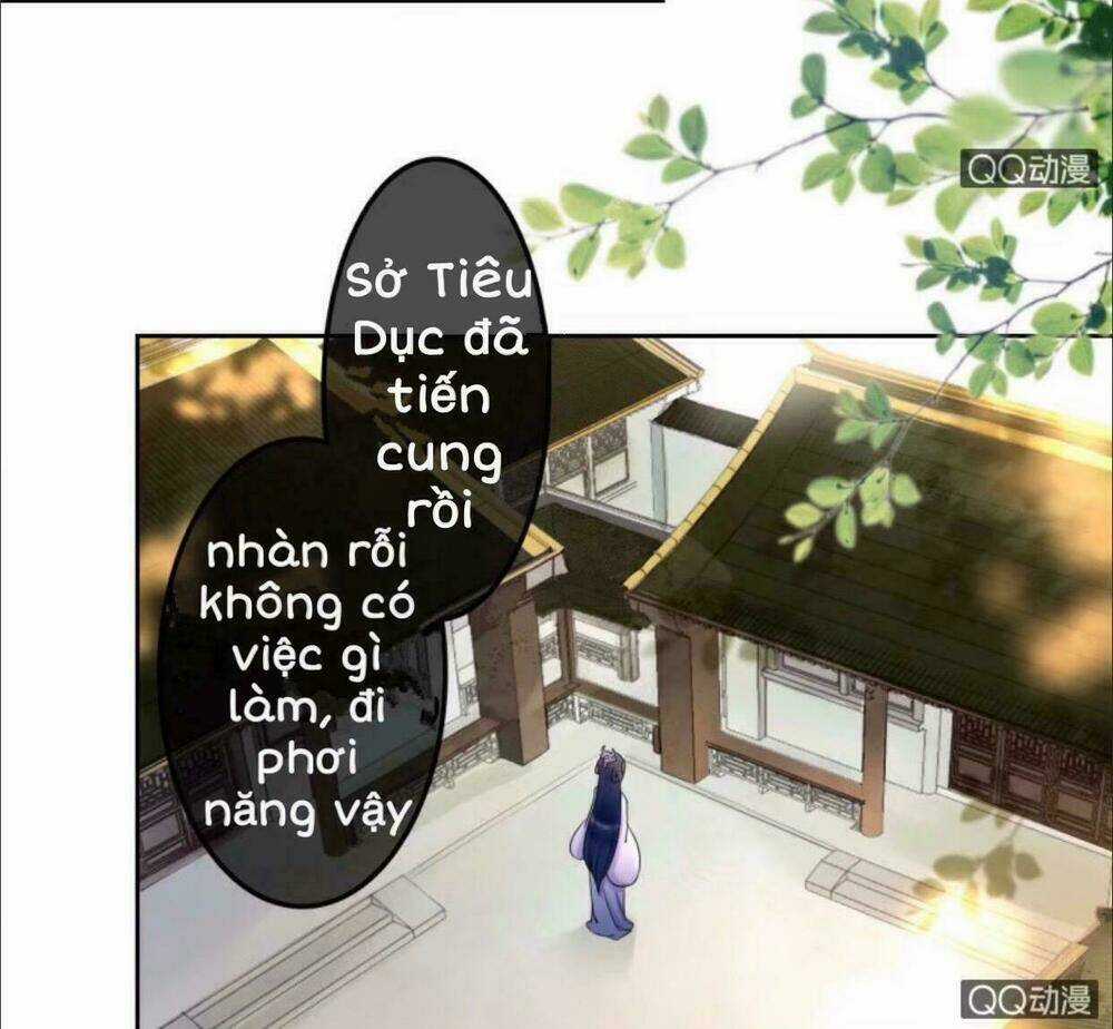 Sủng Phi Của Vương - Chapter 32 - Trang 13