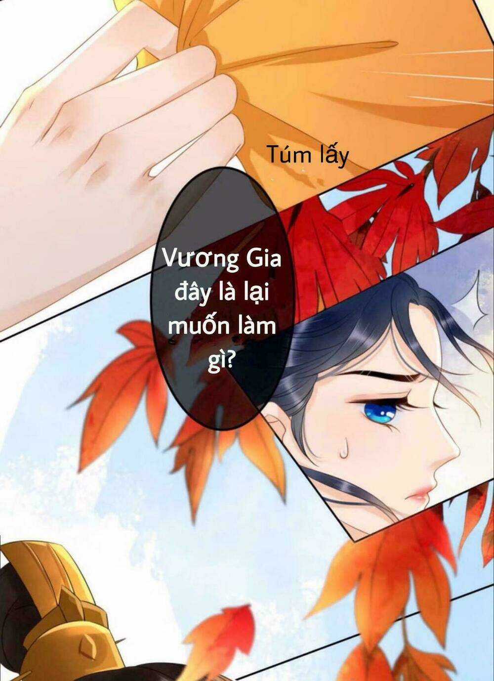 Sủng Phi Của Vương - Chapter 39 - Trang 28