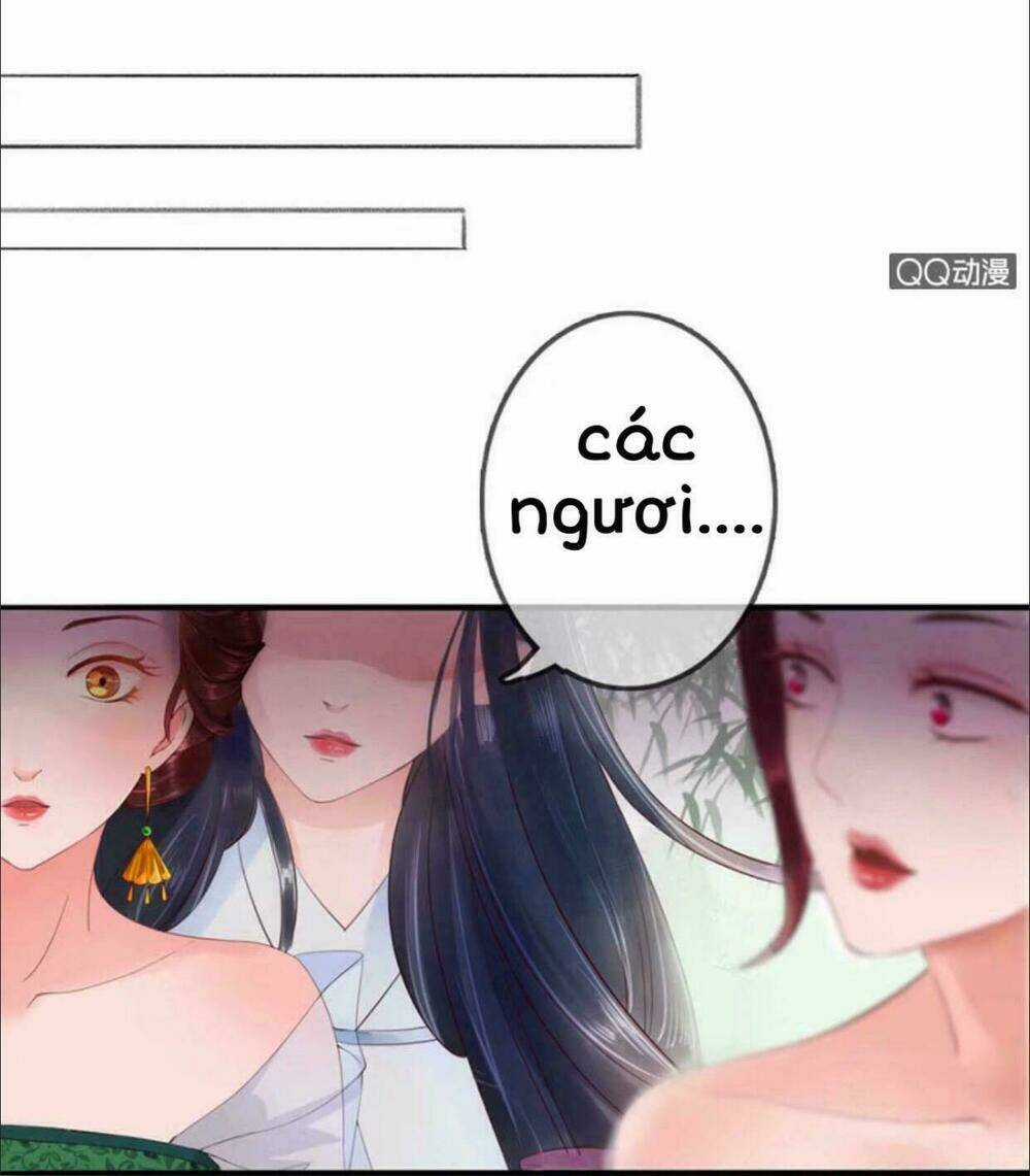 Sủng Phi Của Vương - Chapter 4 - Trang 9