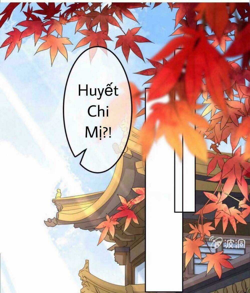 Sủng Phi Của Vương - Chapter 40 - Trang 2