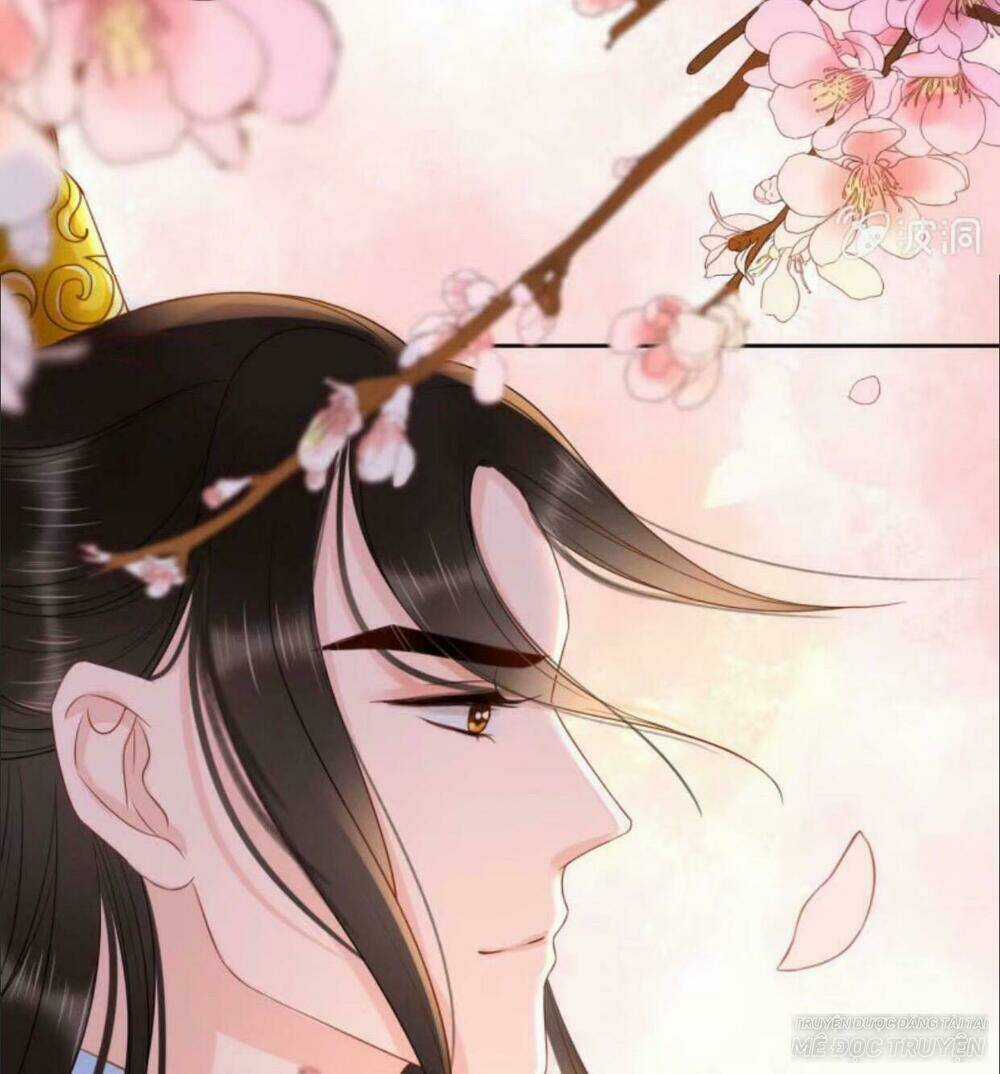 Sủng Phi Của Vương - Chapter 41 - Trang 31