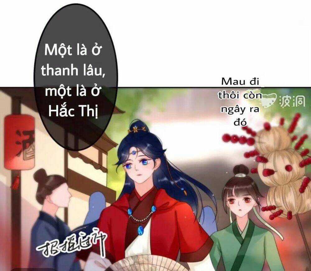 Sủng Phi Của Vương - Chapter 44.4 - Trang 11