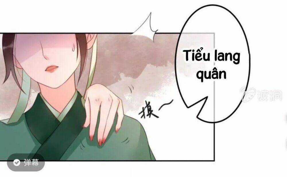 Sủng Phi Của Vương - Chapter 45 - Trang 4