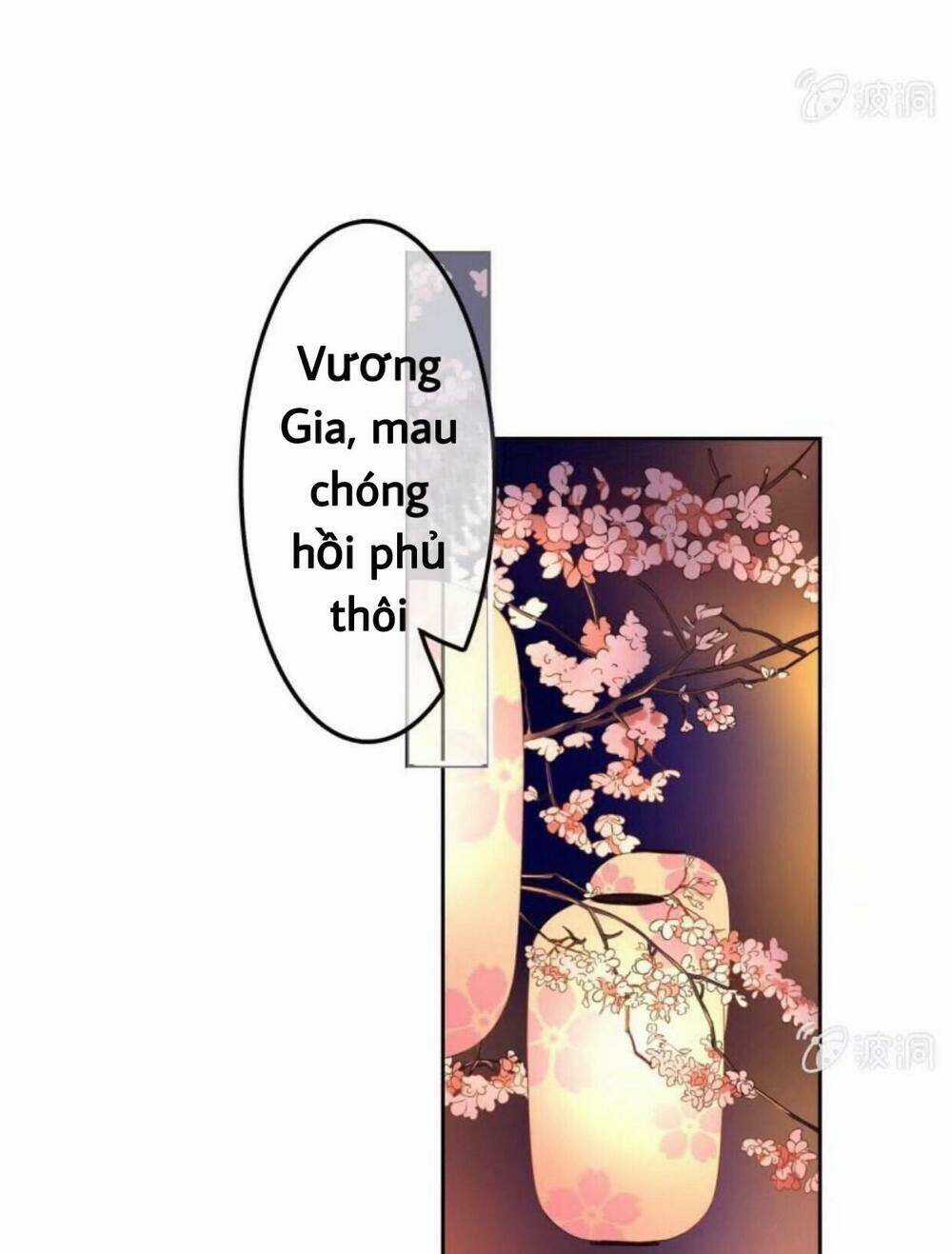 Sủng Phi Của Vương - Chapter 47 - Trang 20