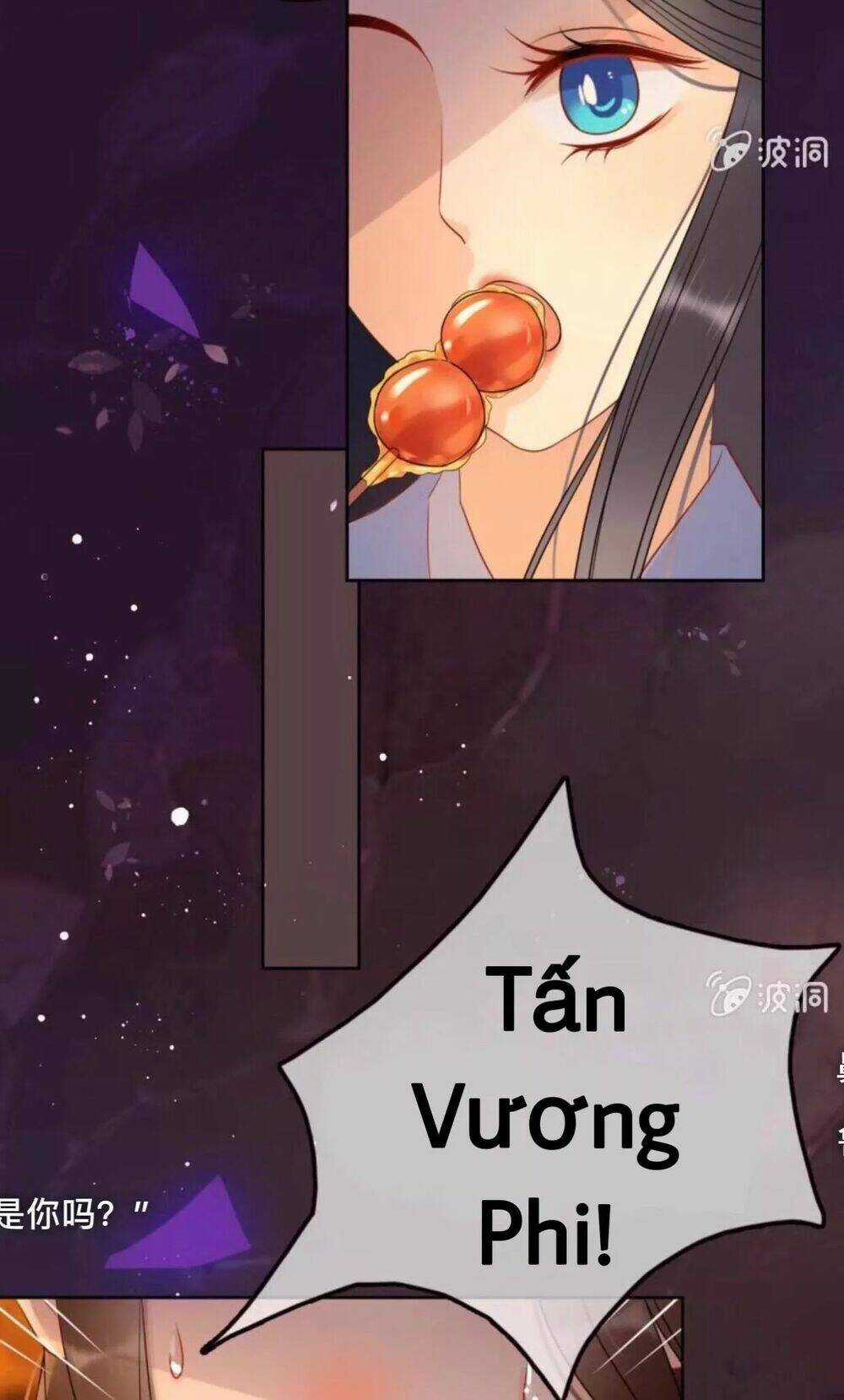 Sủng Phi Của Vương - Chapter 48 - Trang 5