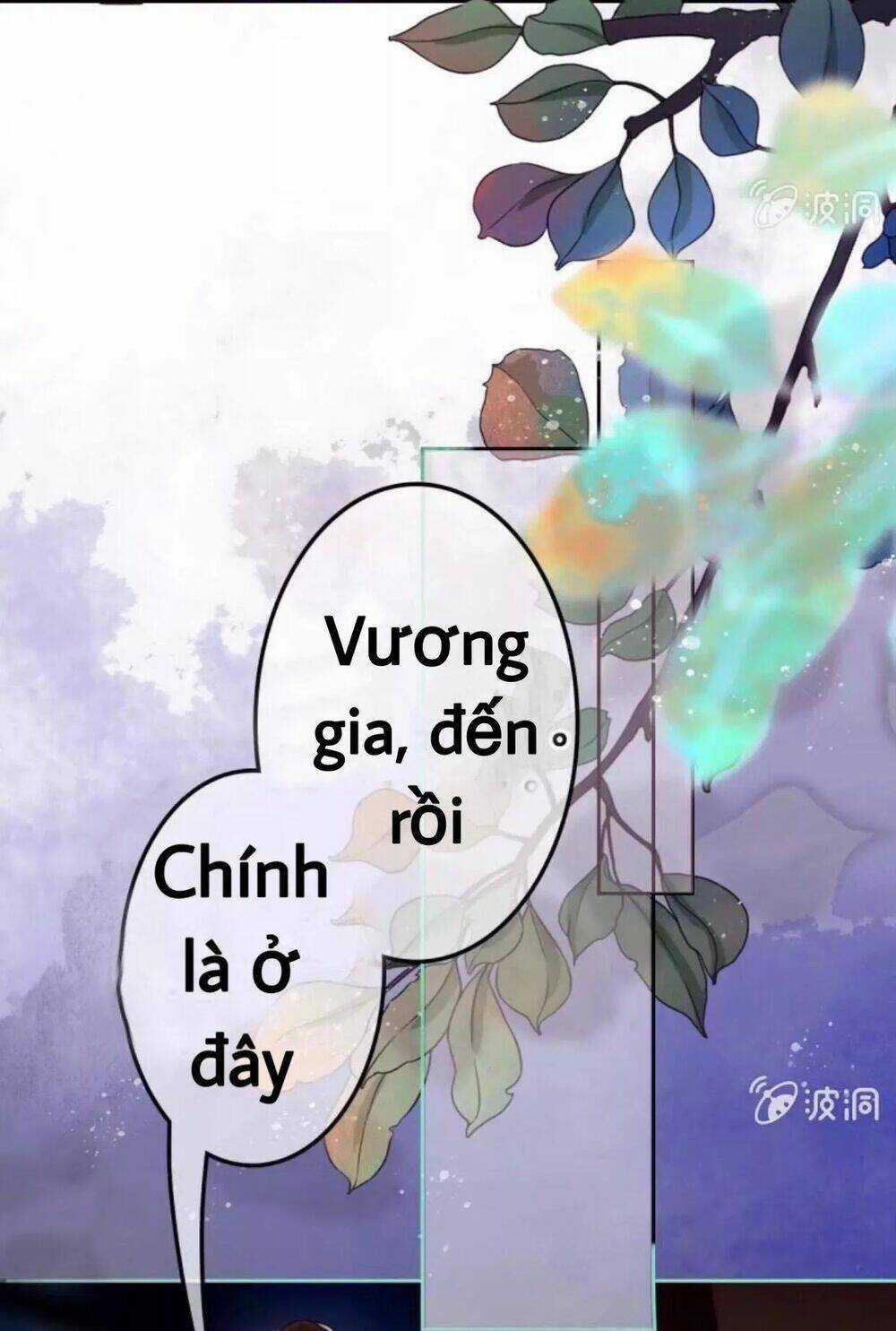 Sủng Phi Của Vương - Chapter 49 - Trang 4