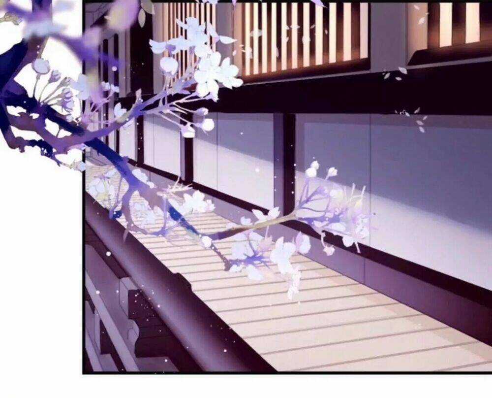 Sủng Phi Của Vương - Chapter 53 - Trang 13