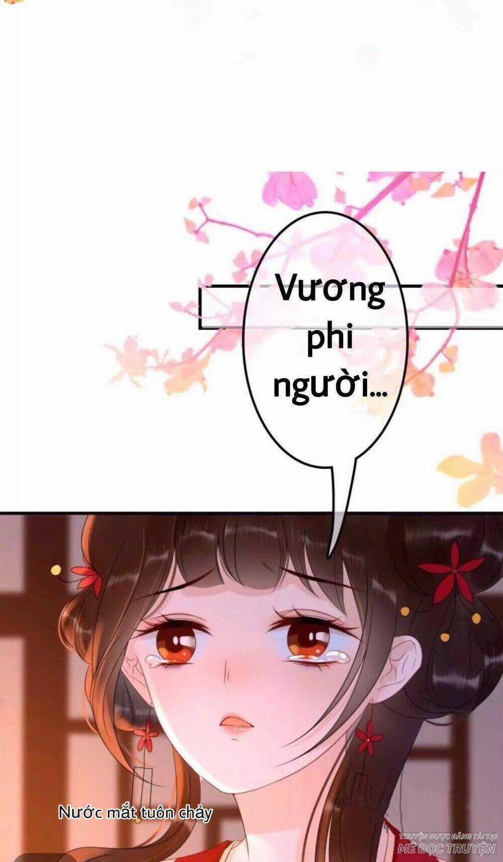 Sủng Phi Của Vương - Chapter 54 - Trang 1