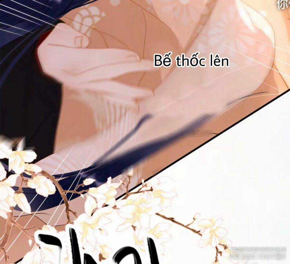 Sủng Phi Của Vương - Chapter 55 - Trang 22
