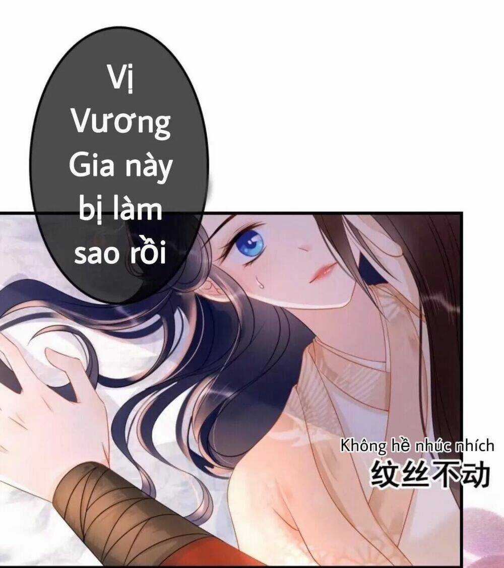Sủng Phi Của Vương - Chapter 56 - Trang 31