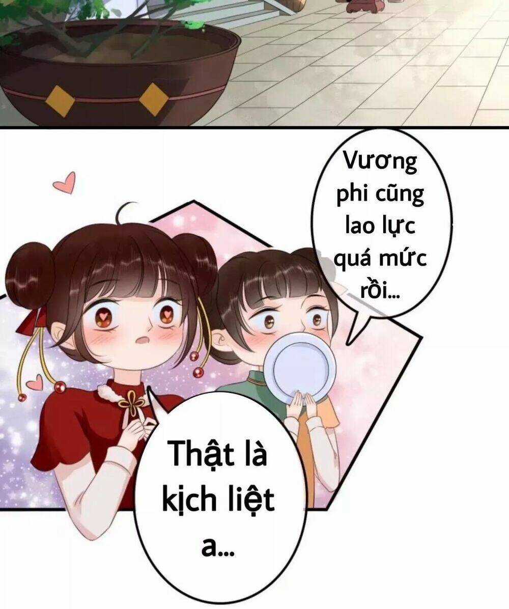 Sủng Phi Của Vương - Chapter 61 - Trang 8