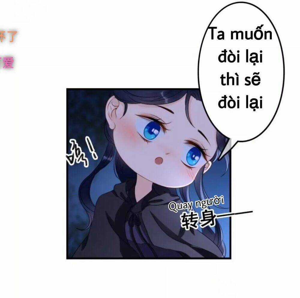 Sủng Phi Của Vương - Chapter 62 - Trang 18