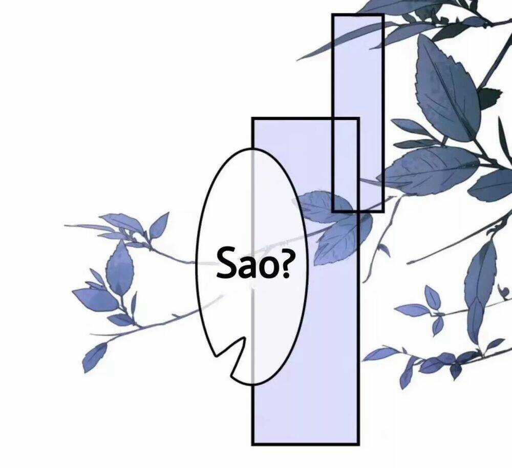 Sủng Phi Của Vương - Chapter 65 - Trang 1