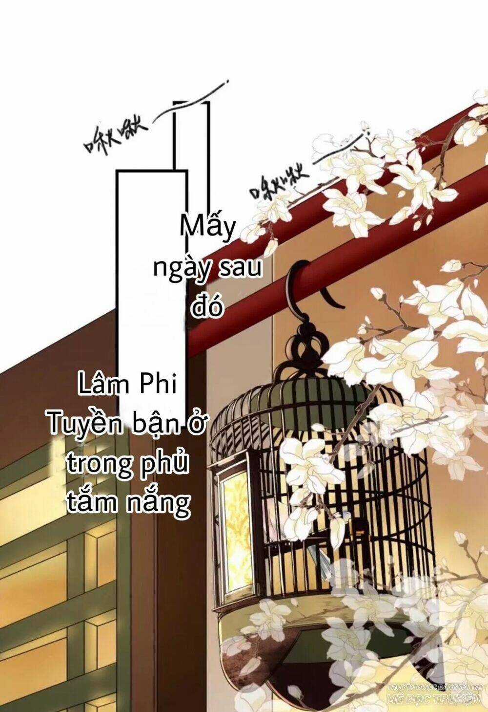 Sủng Phi Của Vương - Chapter 66 - Trang 1