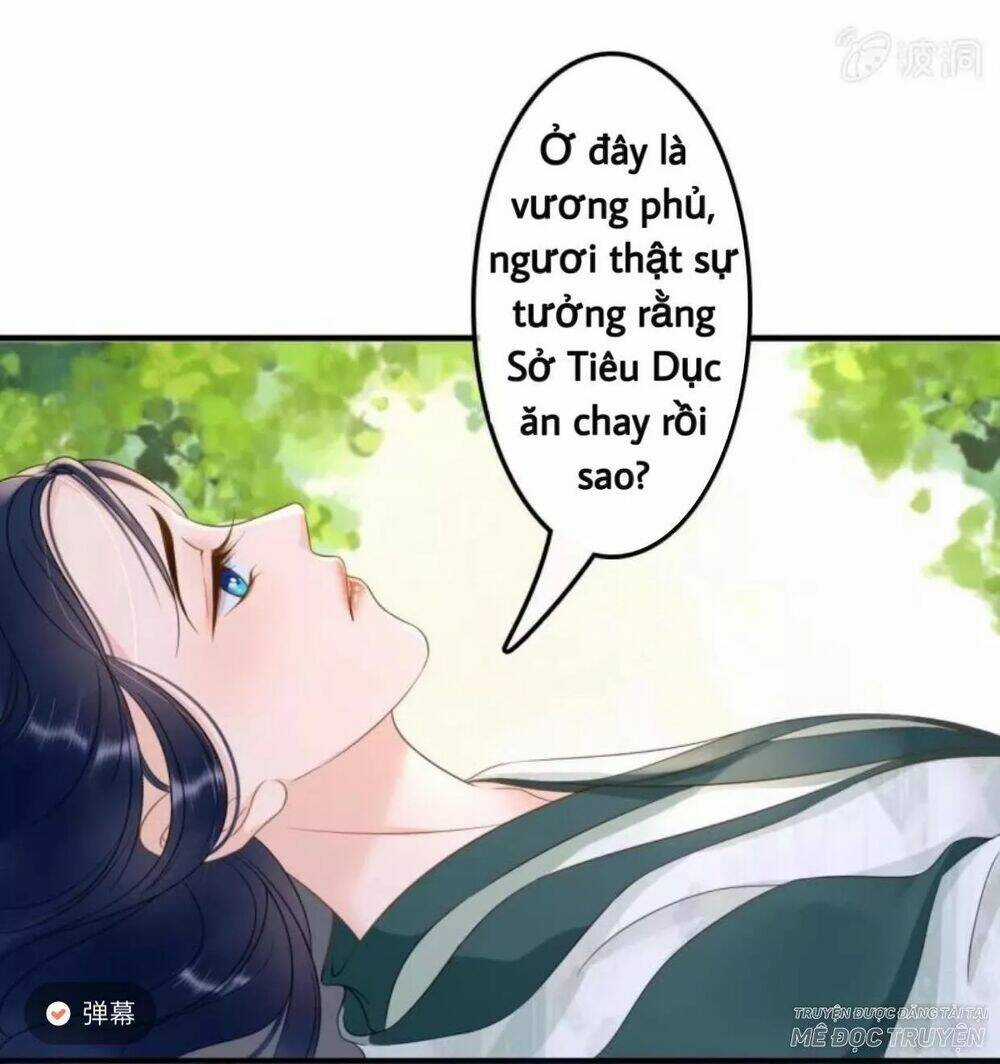 Sủng Phi Của Vương - Chapter 66 - Trang 22