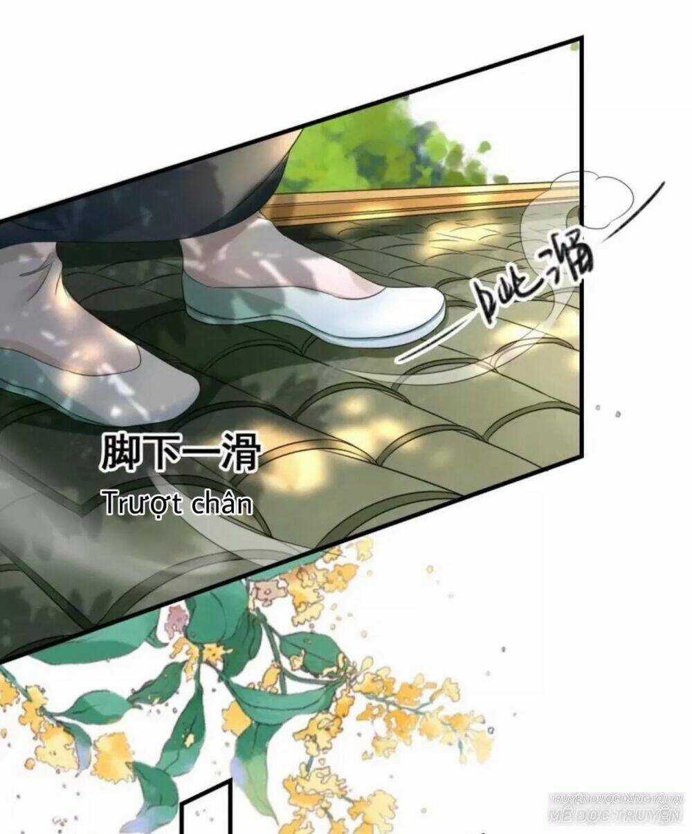 Sủng Phi Của Vương - Chapter 67 - Trang 12