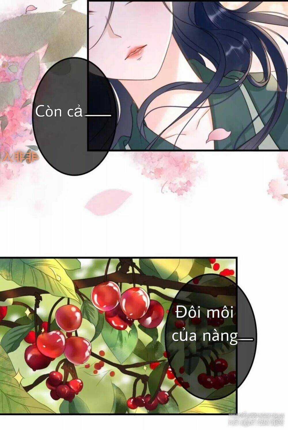 Sủng Phi Của Vương - Chapter 68 - Trang 6