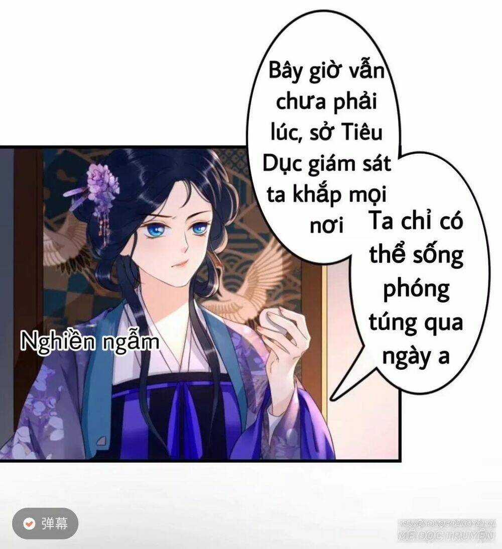 Sủng Phi Của Vương - Chapter 72 - Trang 19