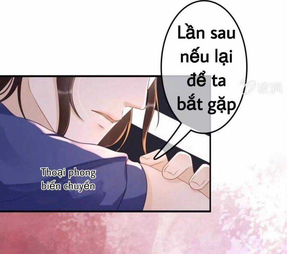 Sủng Phi Của Vương - Chapter 79 - Trang 12