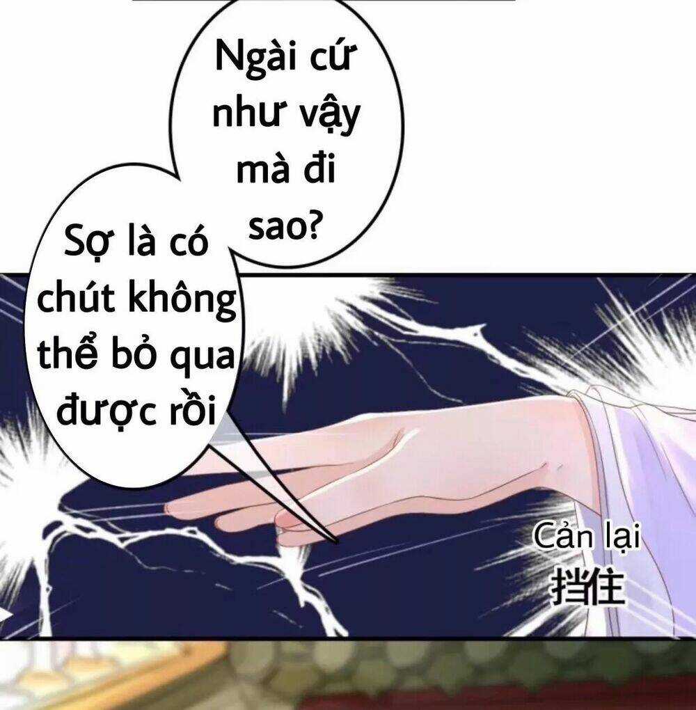 Sủng Phi Của Vương - Chapter 80 - Trang 10