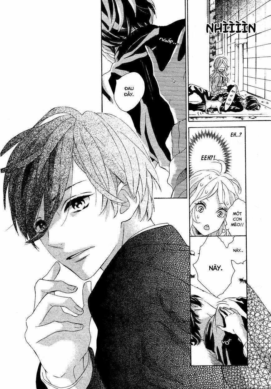 Sunrise - Chapter 1 - Trang 9