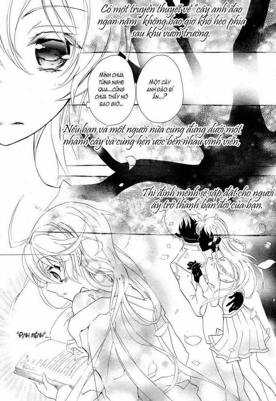 Super Darling! - Chapter 1 - Trang 8