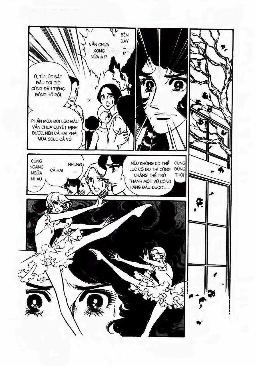 Swan - Vũ Khúc Thiên Nga - Chapter 13 - Trang 17