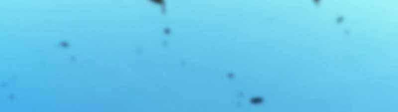 Swordmaster’s Youngest Son - Chapter 24 - Trang 212