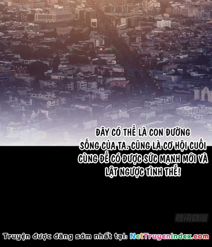 Ta Có Một Sơn Trại - Chapter 1264 - Trang 48