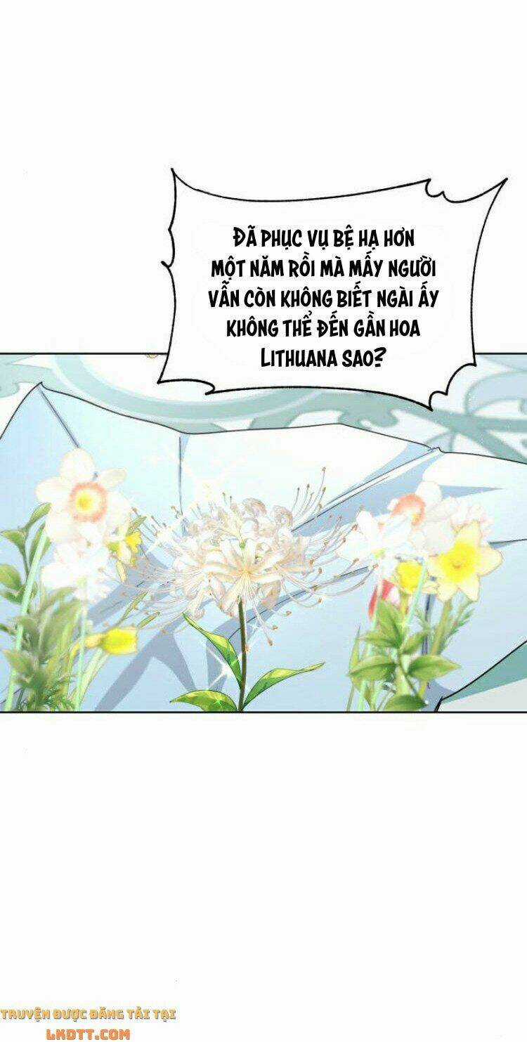 Ta Đã Từng Mong Nàng Biến Mất - Chapter 21 - Trang 8