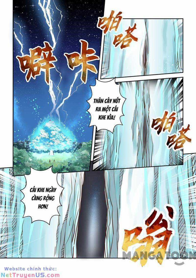 Ta Là Chí Tôn - Chapter 217 - Trang 3