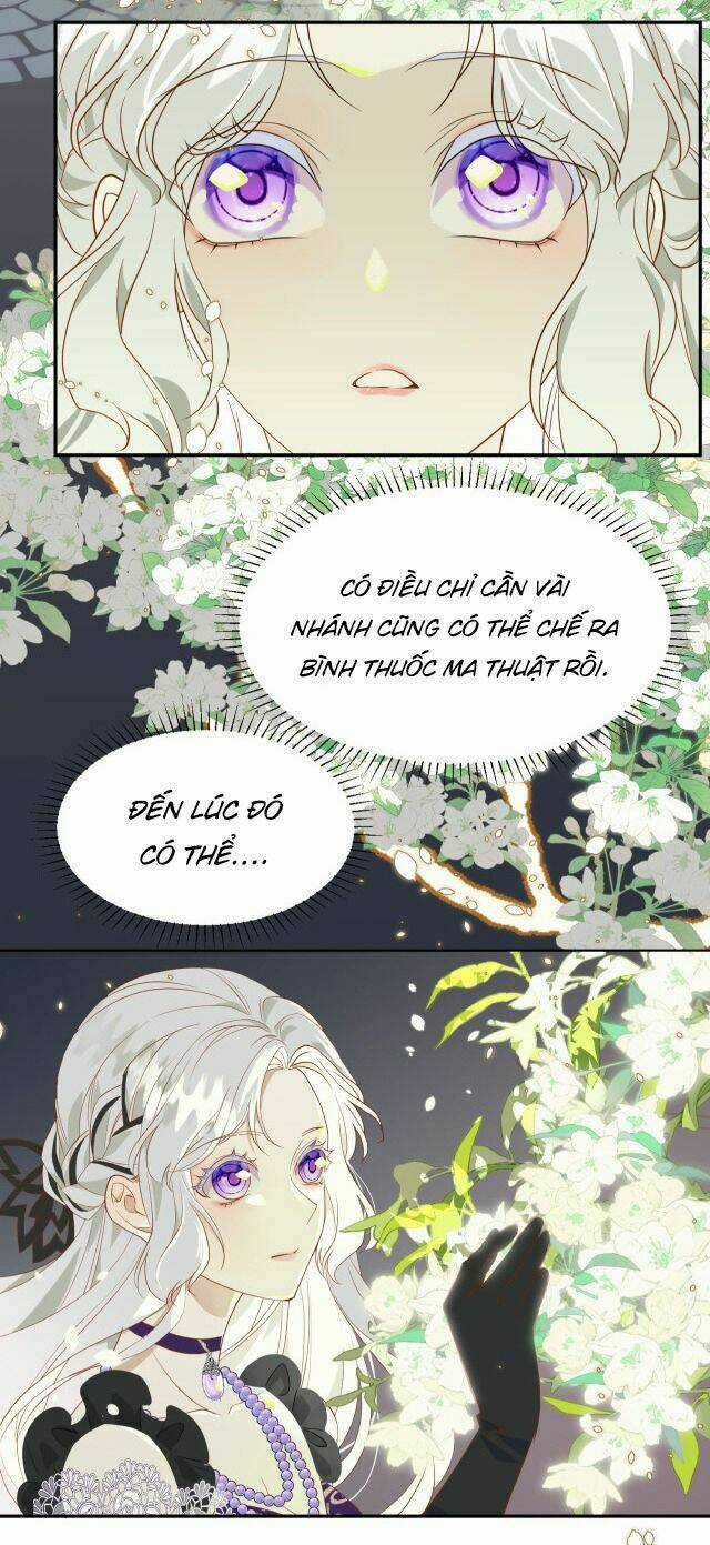 Ta Là Nữ Phụ Độc Ác - Chapter 4 - Trang 12