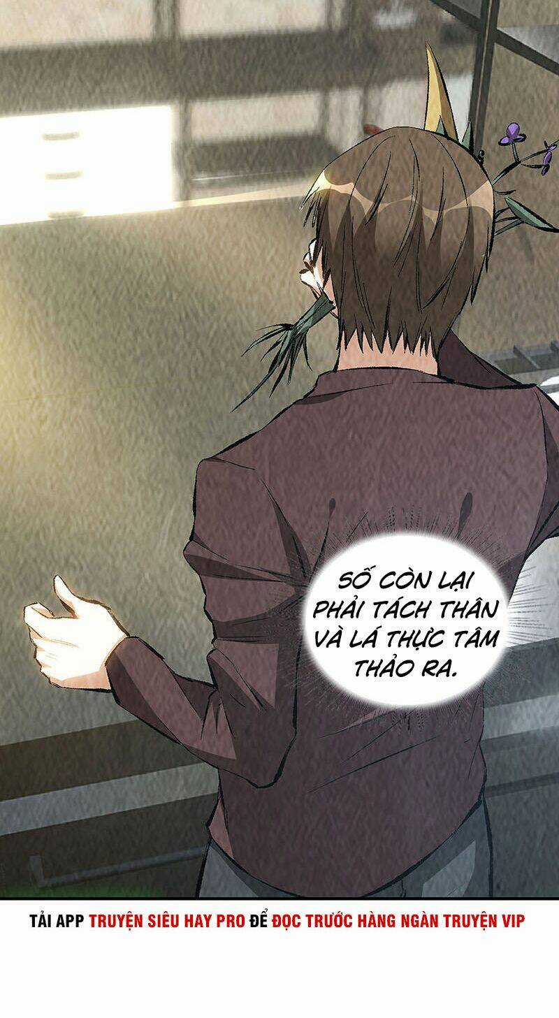 Ta Là Phế Vật - Chapter 183 - Trang 12