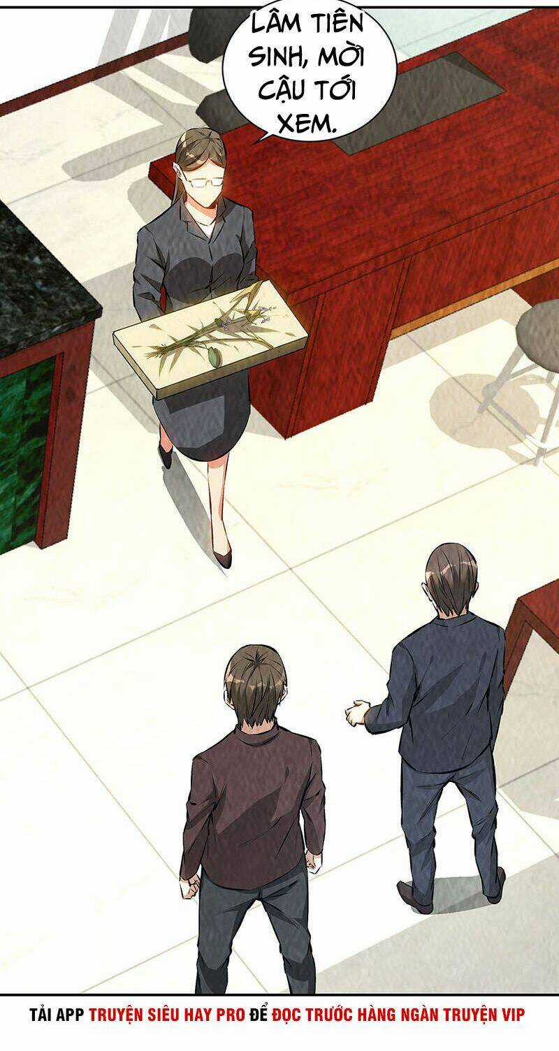 Ta Là Phế Vật - Chapter 183 - Trang 4