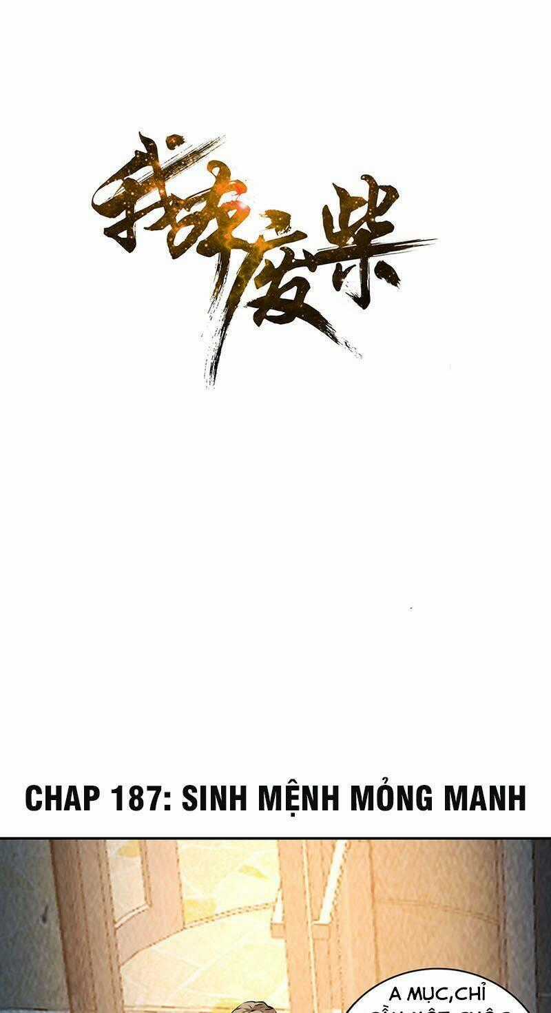 Ta Là Phế Vật - Chapter 187 - Trang 1