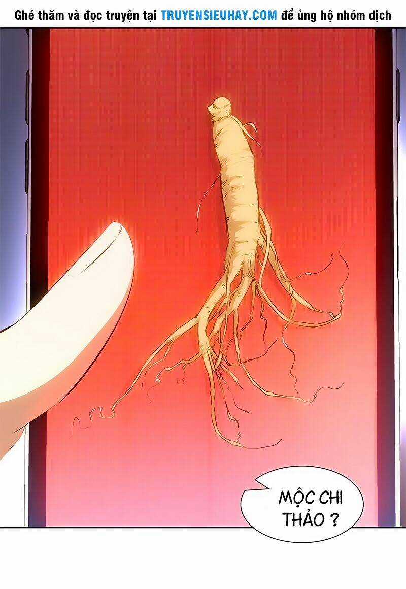 Ta Là Phế Vật - Chapter 19 - Trang 30