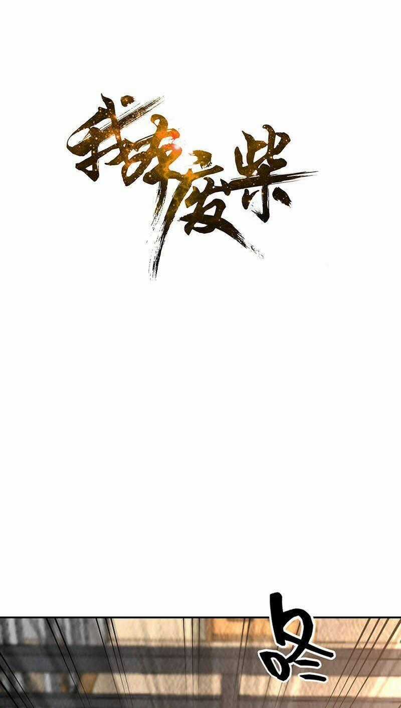 Ta Là Phế Vật - Chapter 204 - Trang 1