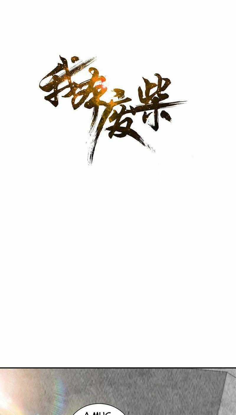 Ta Là Phế Vật - Chapter 206 - Trang 1